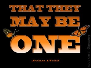 John 17:22